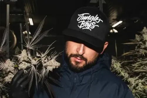 jungle boys vape