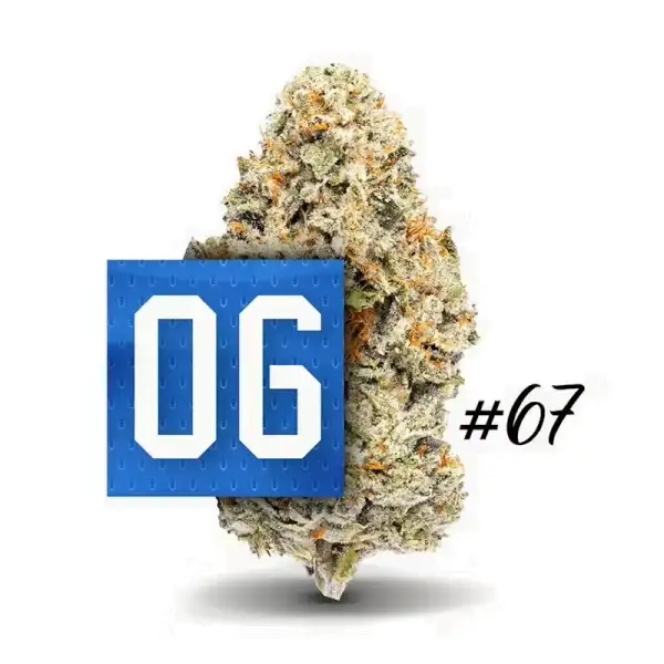 06 OG 67 – 1- 8 oz Premium Flower