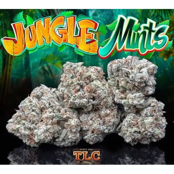 Jungle Mints