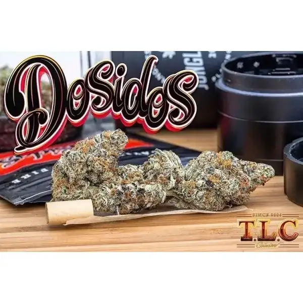 Dosidos