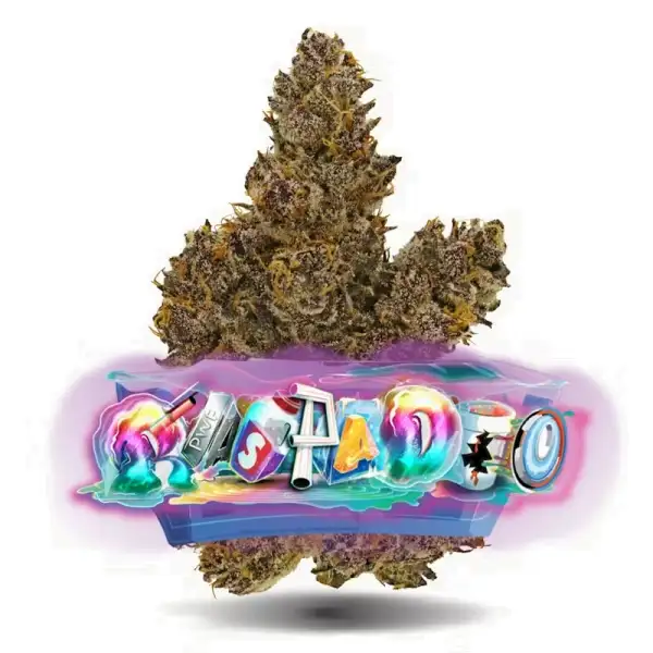 Raspado – 1-4 oz Premium Flower