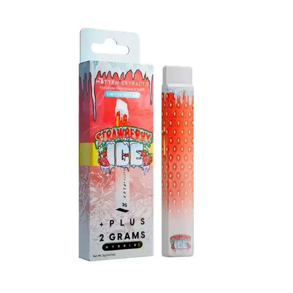 Strawberry Ice Plus Disposable Vape 2g