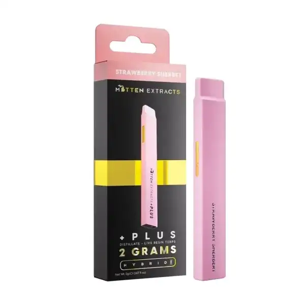 Strawberry Sherbet Plus Disposable Vape 2g