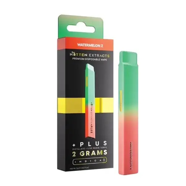 Watermelon Z Plus Disposable Vape 2g